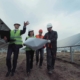 Wind farms becoming solar energy farms